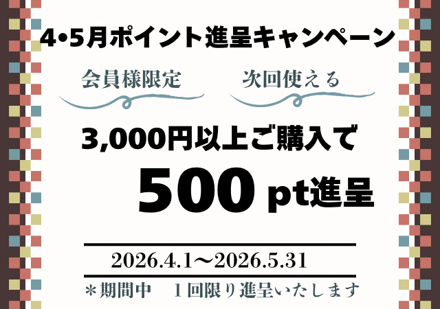500ポイントプレゼント